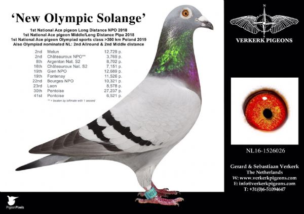 ��ƿ˵�14�����ƥ�˸�����ʽ�����������ʡ�