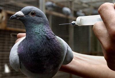 �ָ����ǰ��������ȷ˳��