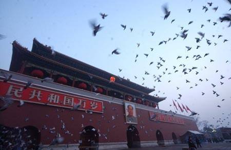 ΪʲôҪȥ��������ӣ�