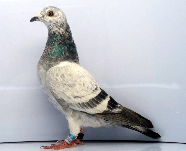 ����ѵ����ô�����Ǻϸ��ˣ�