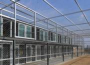 �ιۣ���ɽǿ������������ᣡ