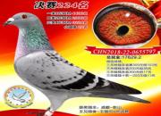 �ռ�԰���ѻ᣺�õ������ֵľ���224��