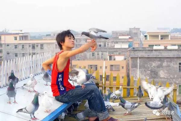 ��13�����굽ְҵ���� ��������ҵ�רҵ��