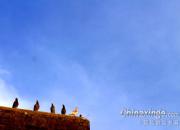 2019�����Ӱ���Ҿ����� ��һ�����̻�