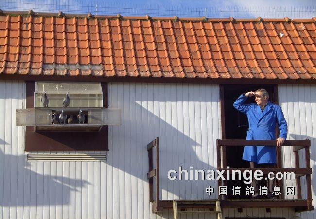 �������Ǳ�