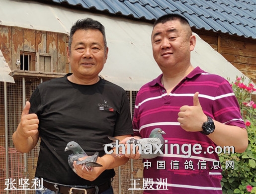 ����ԽԶ�Ѷ�Խ�� ����Խ�� ����������������