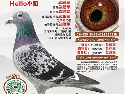 ��Ӣ����ʦ�����ڿΣ�8����ӮǮ�����������λ������