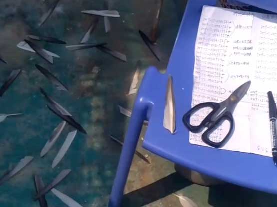 ����Ч���ã�