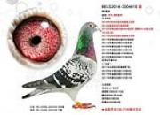 �ɰټ�֮�� ϸ����Щ�仧�й�������KBDB����