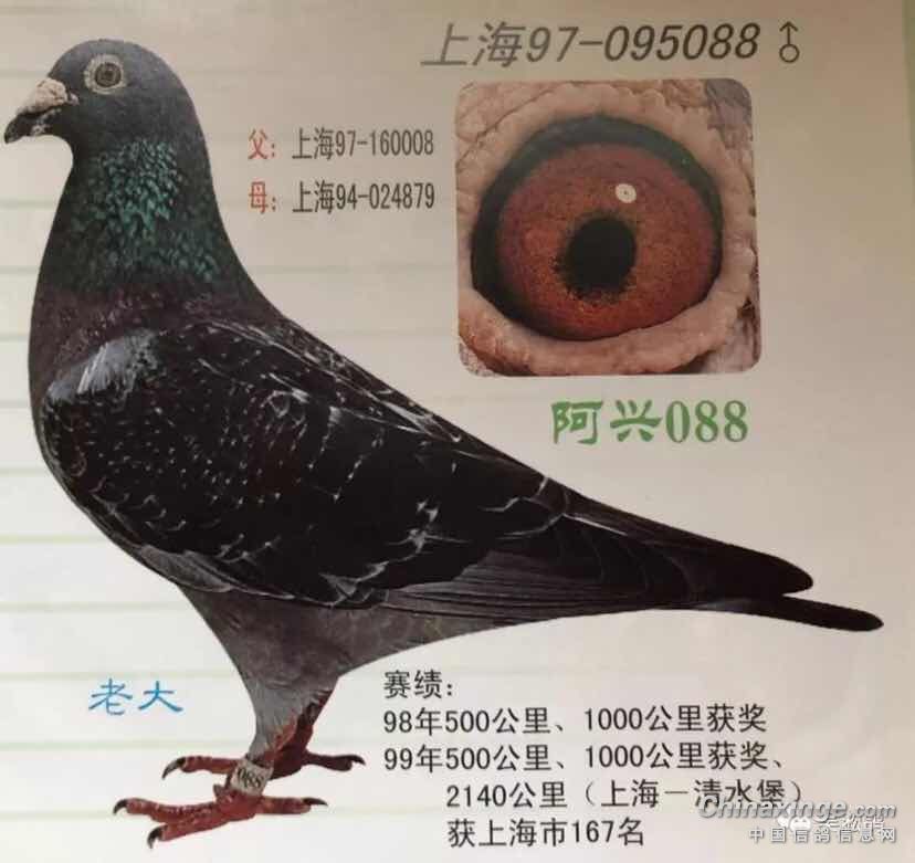 ̾붼ڡǮ Զ̸ָտɴ