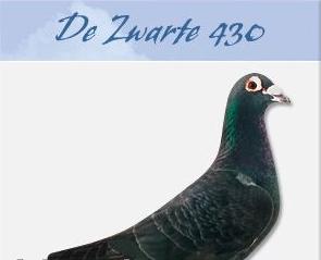 ÿһ룺ھרҵ֮ɫ430(ͼ)