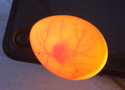 ��һ��·�����������Ӽ�¼ 