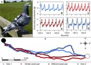 ţ���ѧר�ң��鳲��Ϊ�γɶԷ��У�