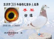 С���˼������ �������Ŀ�������