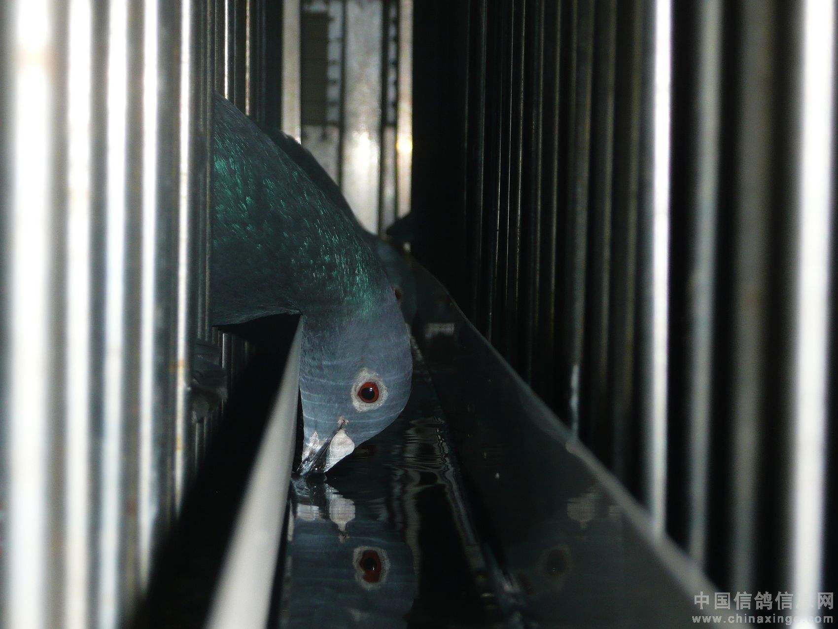 ���������ʲô