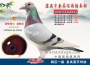 ����һ�ظ��ֶԾ� ������Ʒ�Ĺ���������