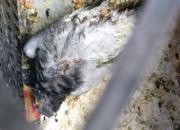 �㶫̫�� ����5�����������һ��