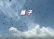 ���� �����е��� �ҵĺû��