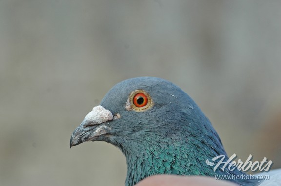 ���������������ɼ���¯ 4676��ھ����ȿ�