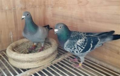 ������̽��������� �������³�ܹھ�����