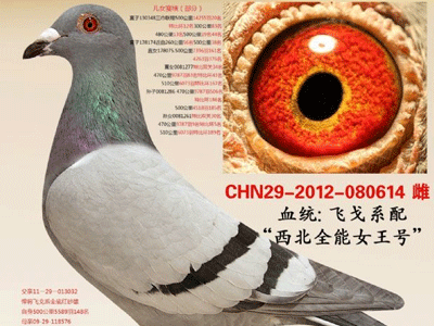 ����ȫ��Ů�����һ���ߺ� ���Ǹ���ţ��������