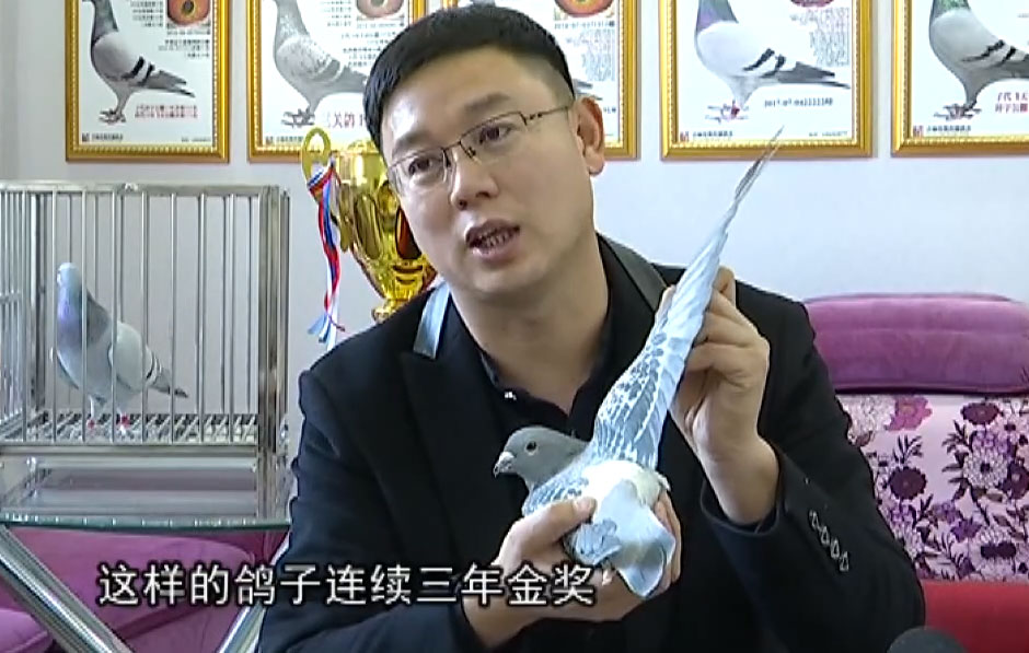 ����̨�ɷü��ְ׳��������Ժ�