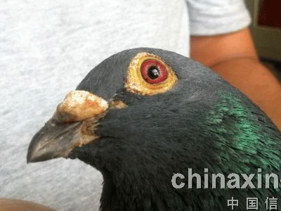 ��ʱ19��ؼҵ�2500������ܹھ�