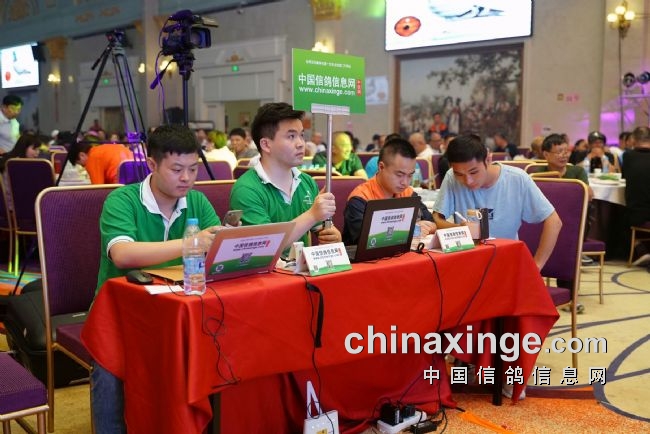 ǧ���˺����ʻƽ𺣰����ѵ�����