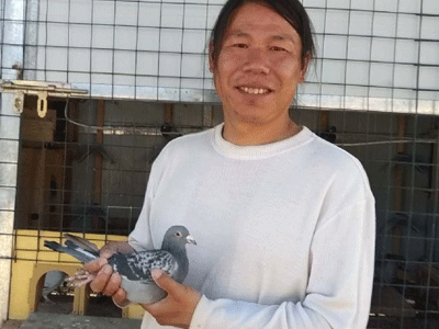 �������뾺�������¼�����ߣ��ɸ�Ӣ��������