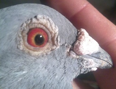 ÿ��һ�룺��ͨ����2000�����ܹھ�