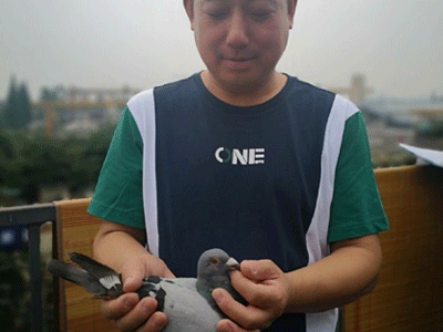 �Ĵ���Զ�̣�2��Ұ����۶�� ���ǲɷ��˸���