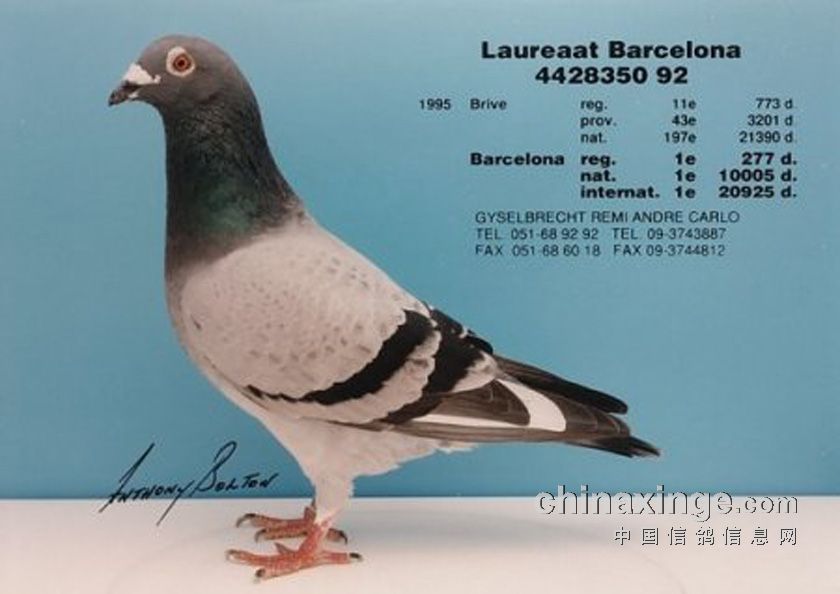 ÿ��һ�룺�����ֹ�������������ҫ�š�