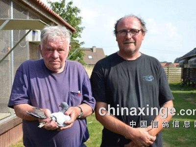 ������ھ���¯ ����ʱ������II�ھ�������