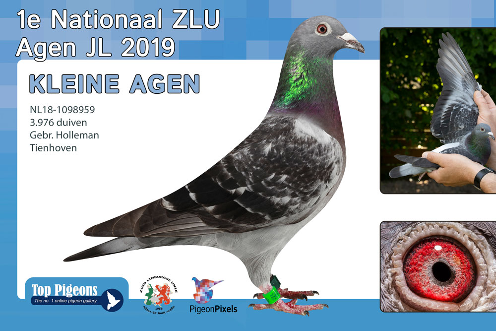 �ͷ��ټ������£����ù���������������ֳ�ɫ