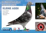 �ͷ��ټ������£����ù���������������ֳ�ɫ