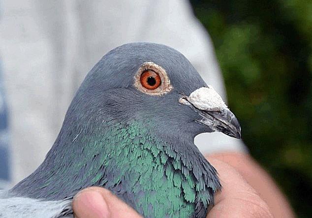 ����ʱ������23963��ھ����� ��Ƭ����