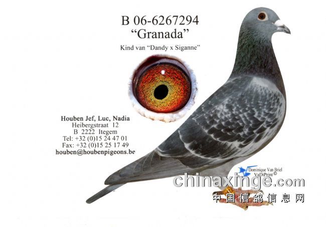 ÿ��һ�룺�������峬�����ۻʵۡ������ɴ