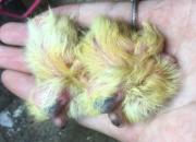 ͼ�ģ��׸�30��ɳ�ȫ��¼