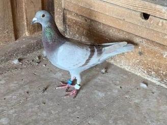 ӵ�кø�����Ψһ���أ�