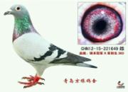 �������걣ķ�Ľ�ĸ���� ������������