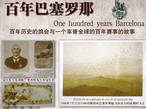 ����2019�������ǹ����� ���Ҵ�Ź�ʣ�