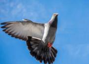 �ܡ�Ħ�ġ��ĸ���