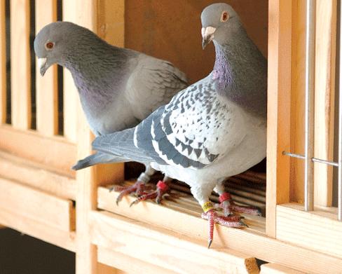 ���Ӿ��¡��ȡ�