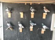 �Լ������������ܼ� ��������