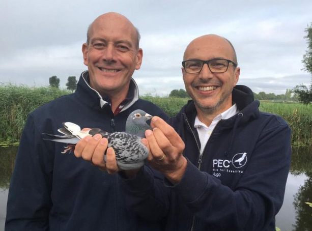 ŷ��ʥά�ɣ������������Ǿ� ����ǰʮ����