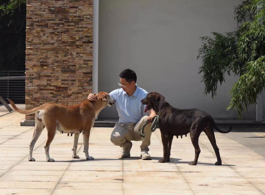 ���̴���ΰ ��������һ������ 