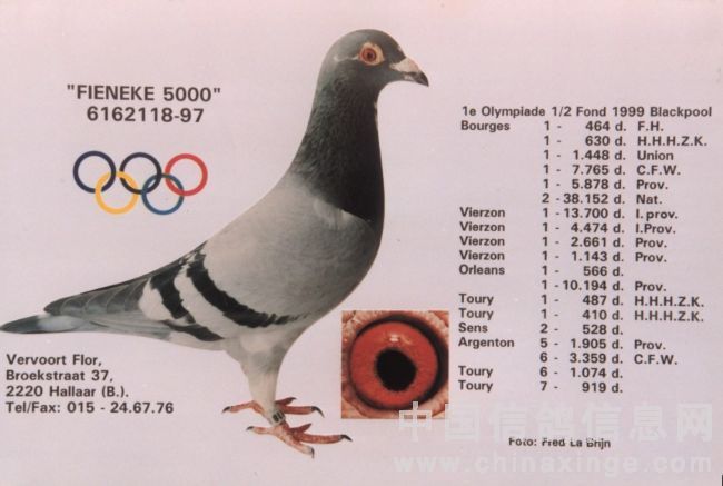 �������𡰷��Ῠ5000���˽�һ��