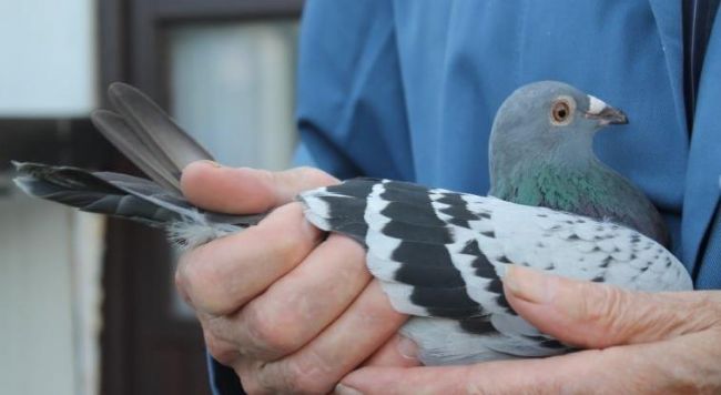 ����ʱ���յ�1.9����ɼ����� ���Ż��Ǿ�