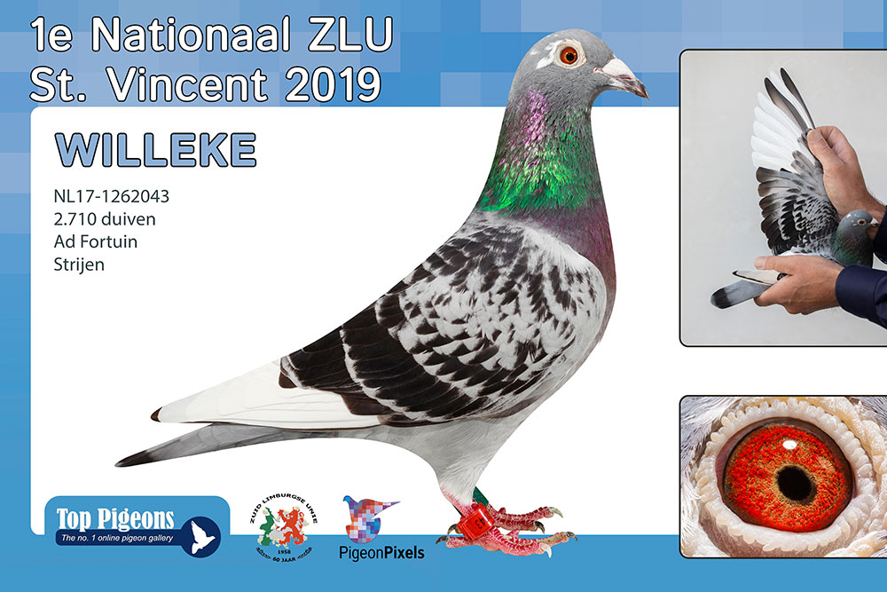 ʥά��ǧ������� ����������־���