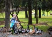 ������ഺ��Сѧ�Ѹ��ӵ�����